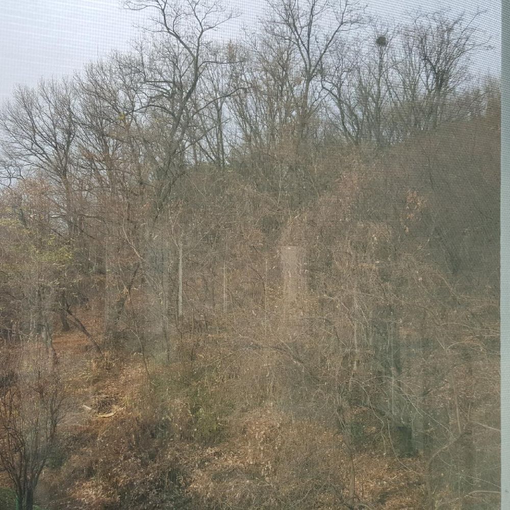 Outdoor Pictures 2