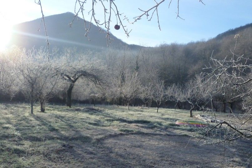 Outdoor Pictures 19