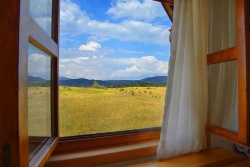 Outdoor Pictures 19