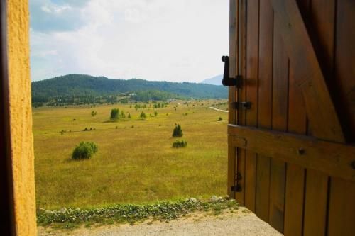 Outdoor Pictures 21