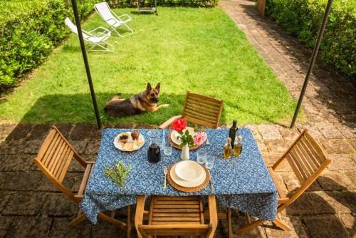 Outdoor Pictures 23