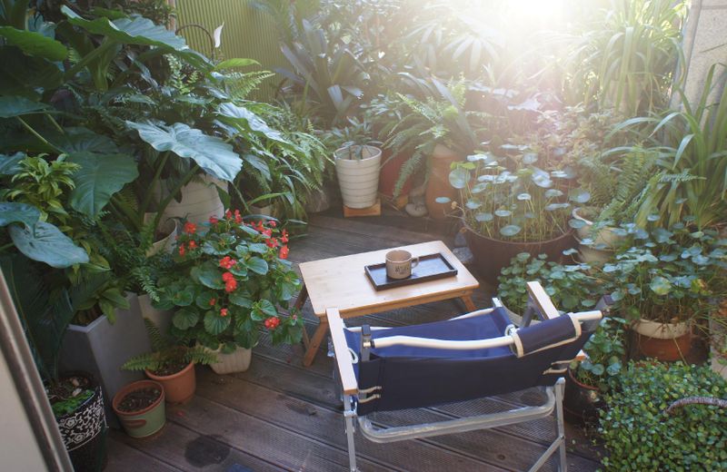 Green guest house