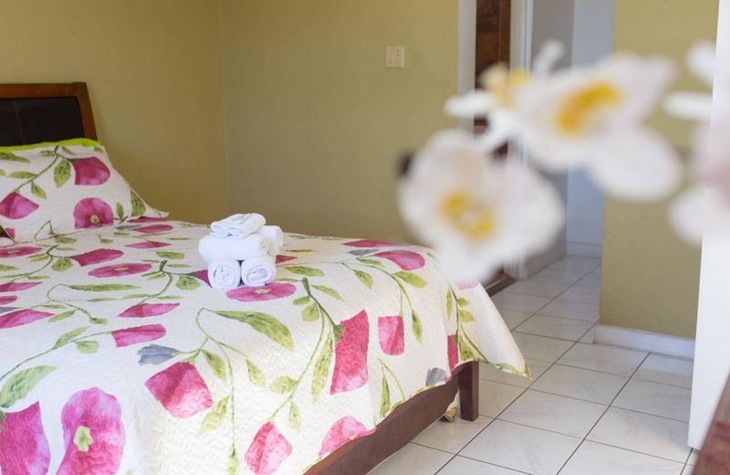 New Kingston Ca Guest Apartment Vi