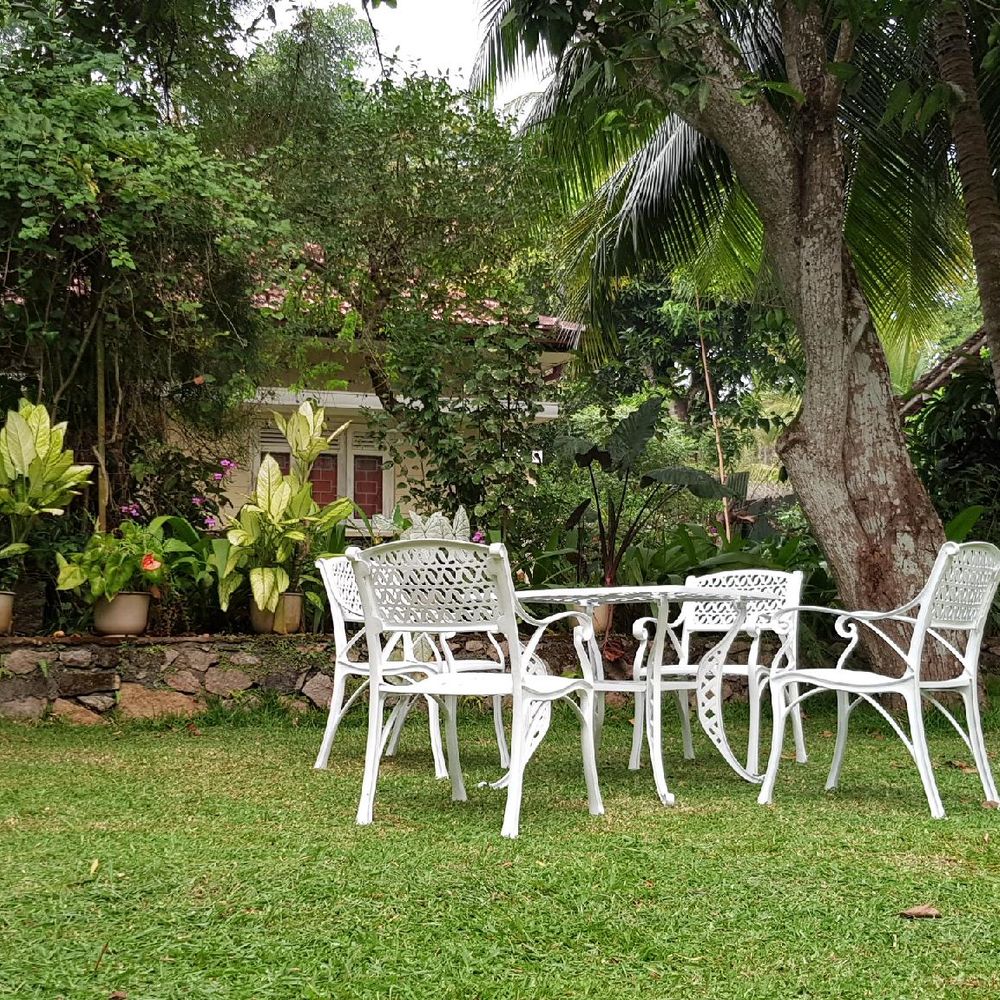 Outdoor Pictures 1