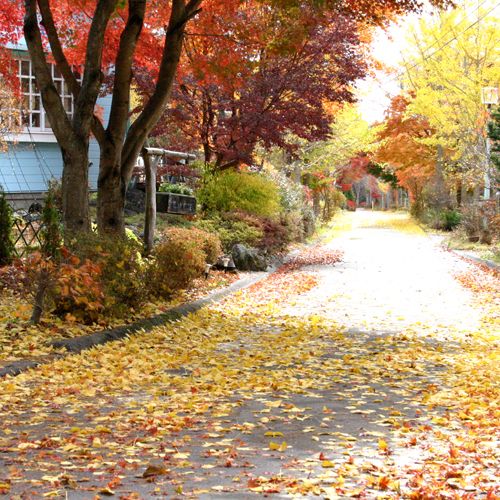 Outdoor Pictures 4