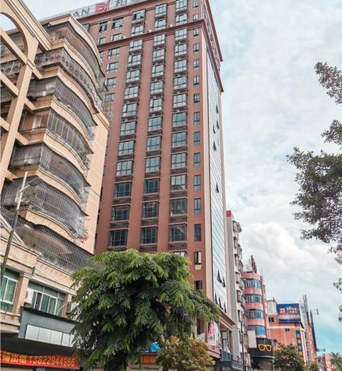 Borrman Hotel Puning People Garden