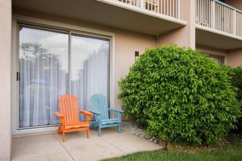 Outdoor Pictures 22