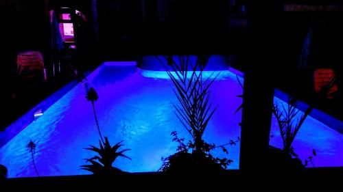 Outdoor Pictures 12