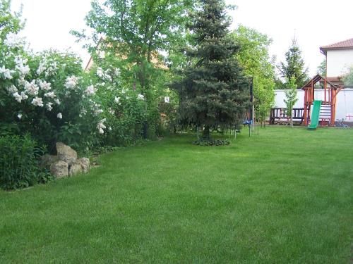 Outdoor Pictures 20