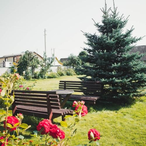 Outdoor Pictures 2