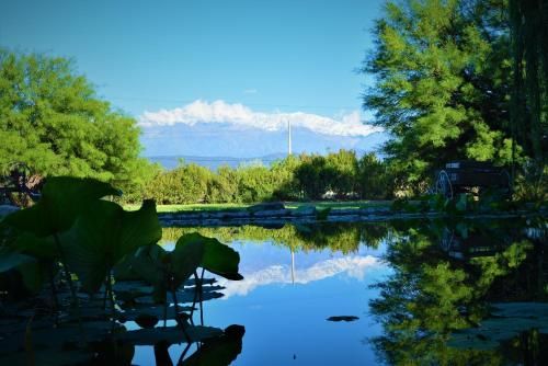 Outdoor Pictures 22