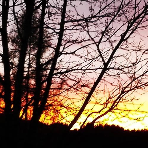 Outdoor Pictures 6