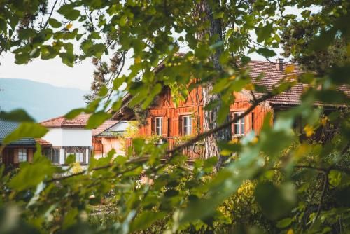 Outdoor Pictures 24