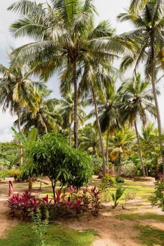 Outdoor Pictures 20