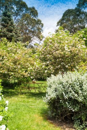 Outdoor Pictures 22