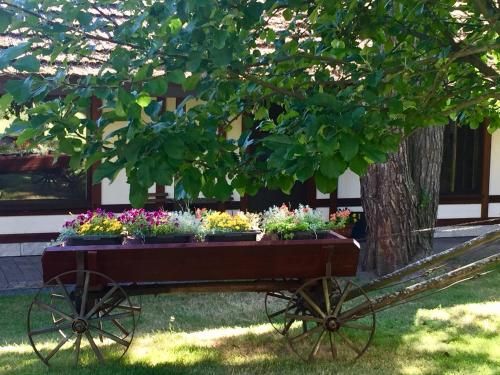 Outdoor Pictures 8