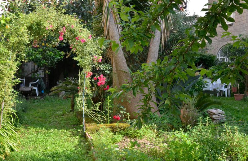 O Paravis mio, guest house for 8, PianoDiSorrento