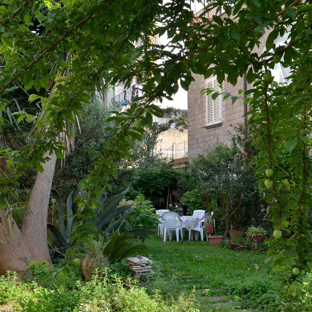 Outdoor Pictures 3