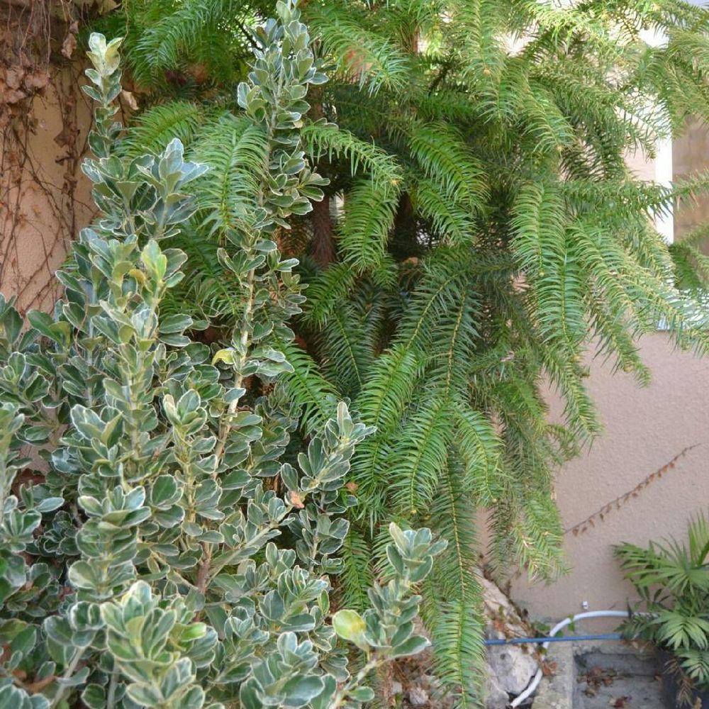 Outdoor Pictures 5