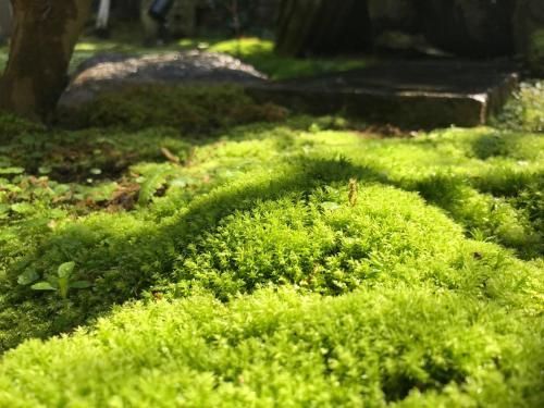 Outdoor Pictures 18