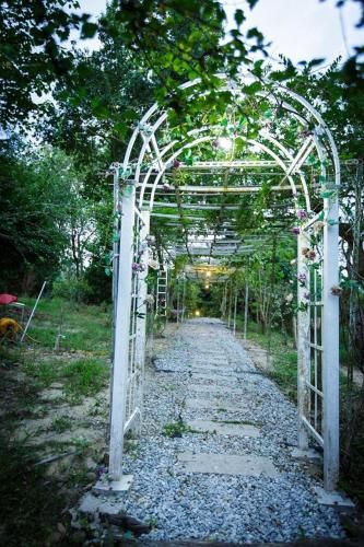 Outdoor Pictures 13
