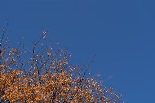 Outdoor Pictures 9