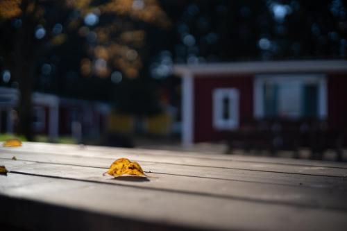 Outdoor Pictures 15