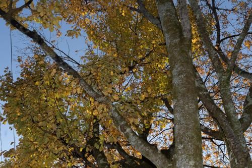 Outdoor Pictures 20
