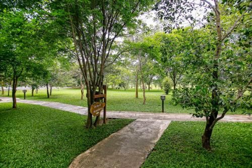 Outdoor Pictures 21