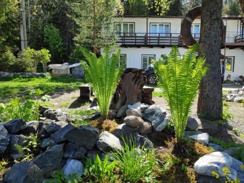 Outdoor Pictures 8
