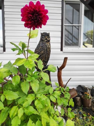 Outdoor Pictures 10
