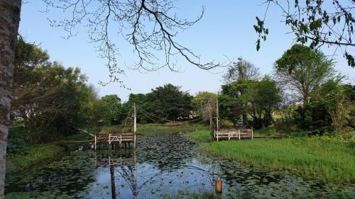 Outdoor Pictures 17