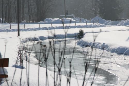 Outdoor Pictures 16