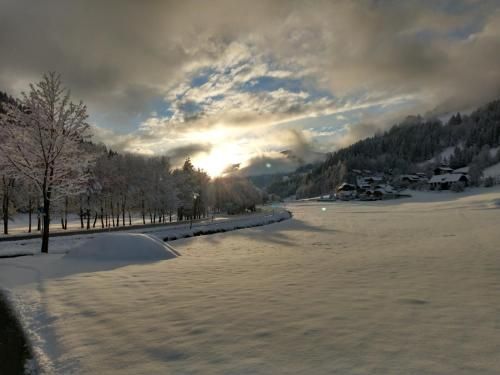 Outdoor Pictures 9