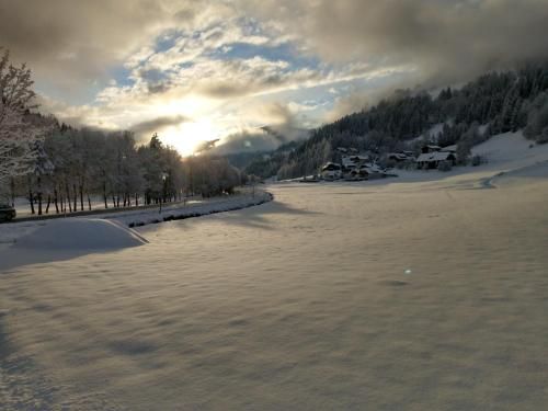 Outdoor Pictures 10