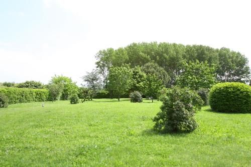 Outdoor Pictures 4