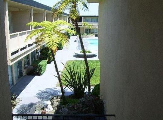 Outdoor Pictures 1