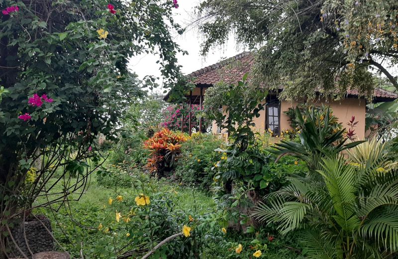 Balelangga Bed & Breakfast
