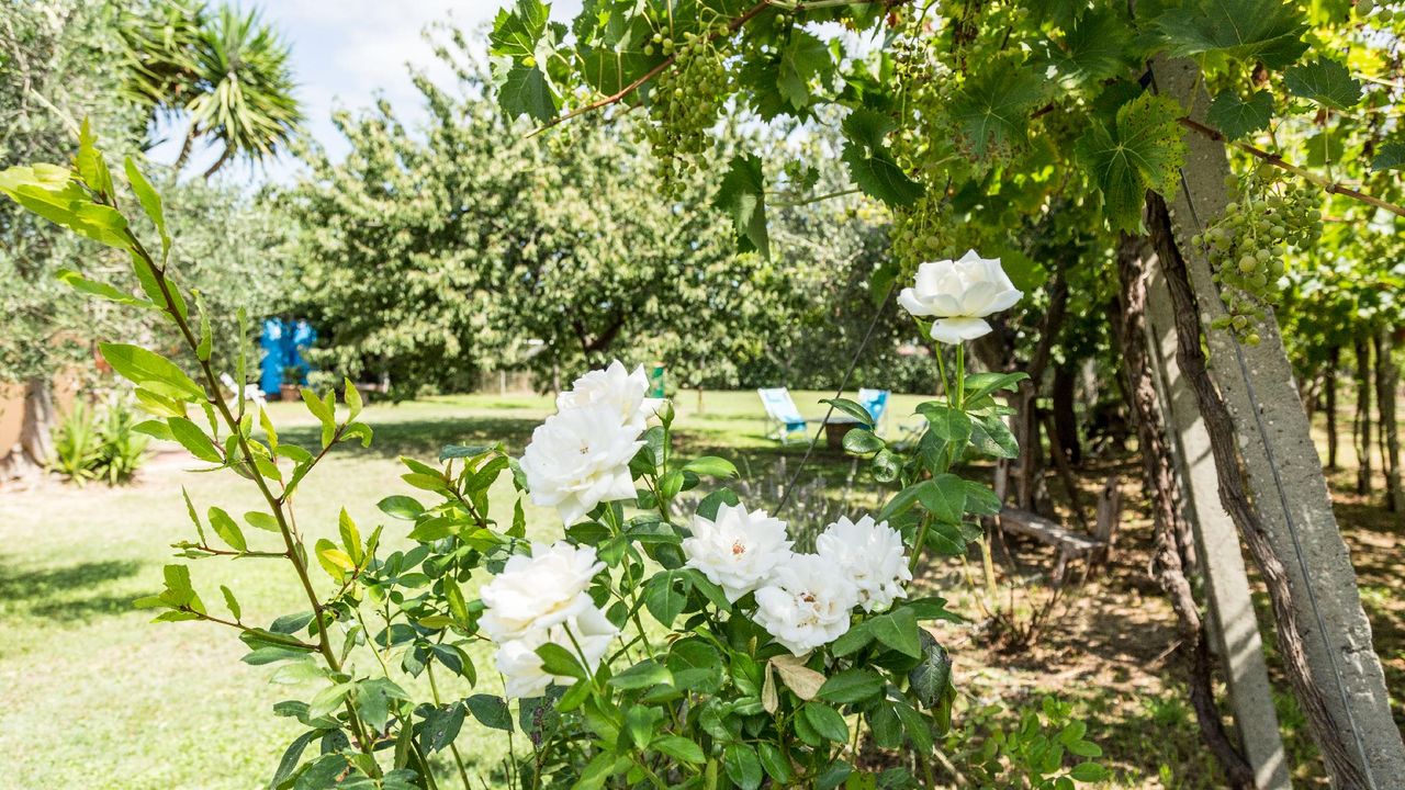 Villa avec 7 chambre(s) de 200 m² et 4 salle(s) de bains privée(s) à Rocca San Giovanni