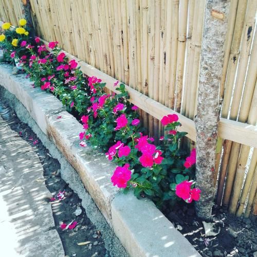 Outdoor Pictures 21