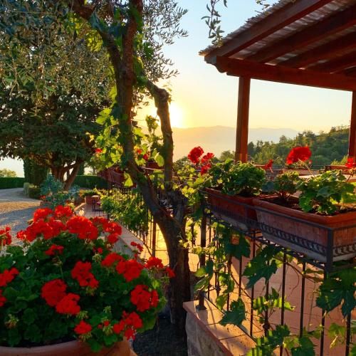 Outdoor Pictures 4