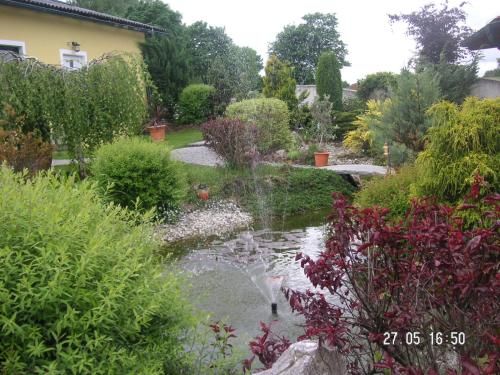 Outdoor Pictures 5