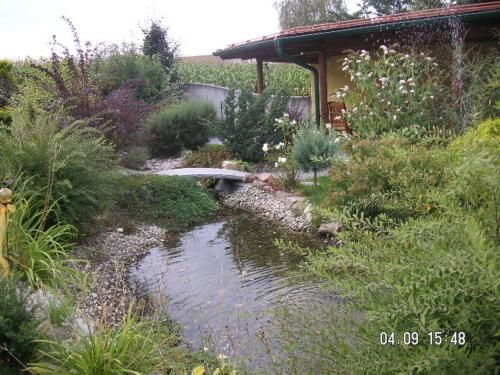 Outdoor Pictures 6