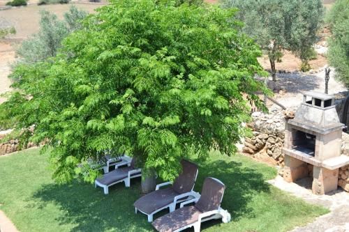 Outdoor Pictures 10