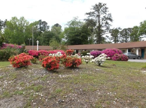 Outdoor Pictures 15
