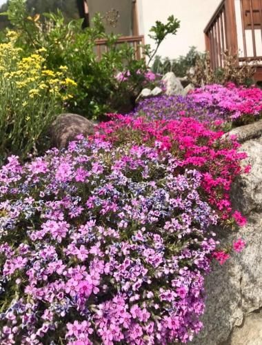 Outdoor Pictures 15
