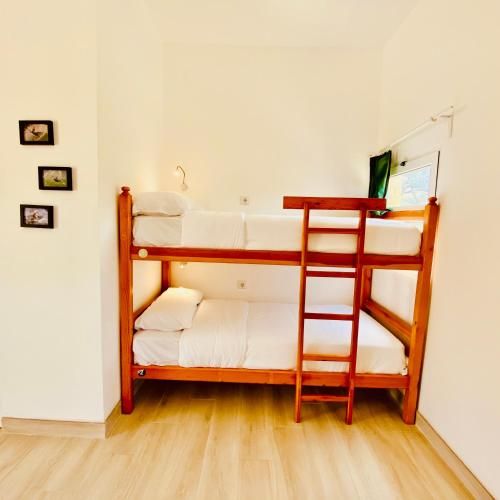 Oasis Backpackers Hostel Sintra Surf