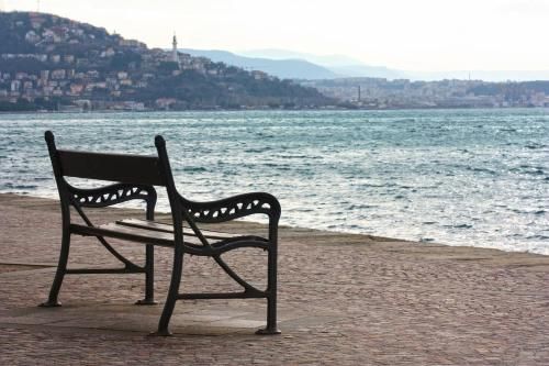 Outdoor Pictures 20