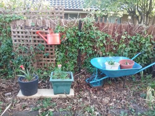 Outdoor Pictures 15