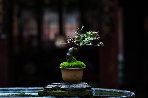 Outdoor Pictures 24